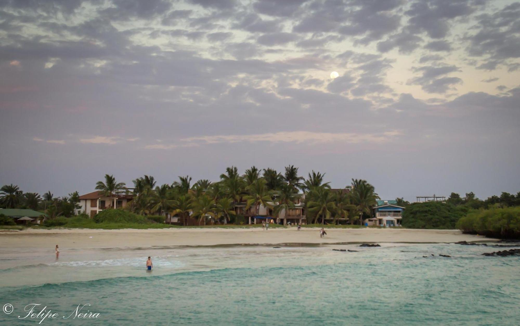 The Isabela Beach House Puerto Villamil Kültér fotó